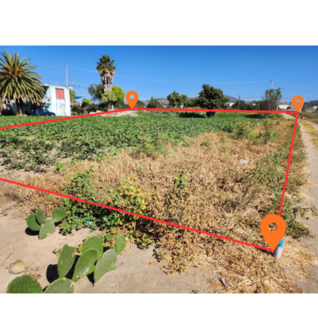 Vista general del entorno del terreno